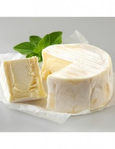 Papier standard Plus... 2