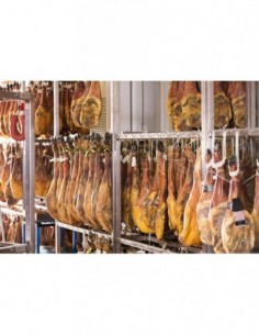 Ficelle polypropylène bout... 2