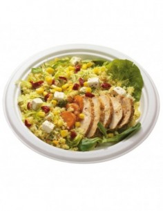 Assiette en carton moulé 2