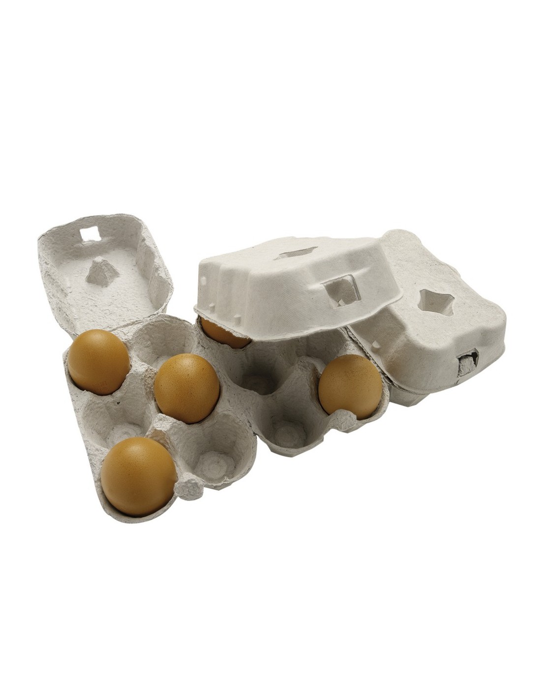 Boites 6 œufs vides en carton pas cher