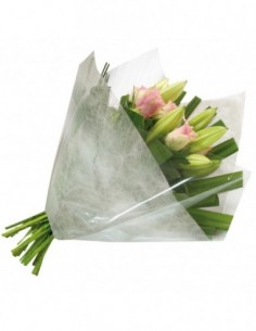 Film Polypropylène (PP)... 2